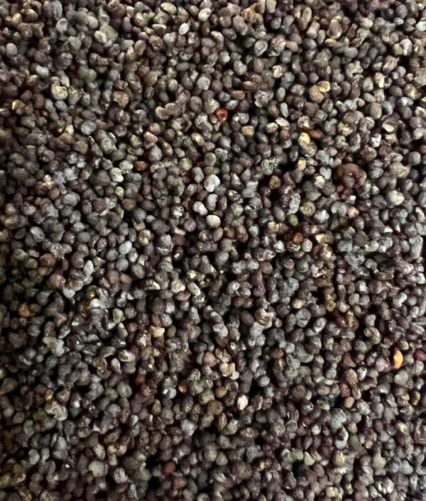 Buy Blue Poppy Pod Seeds – Premium Blue Poppies for Sale Online at BuyPoppyHeads.com