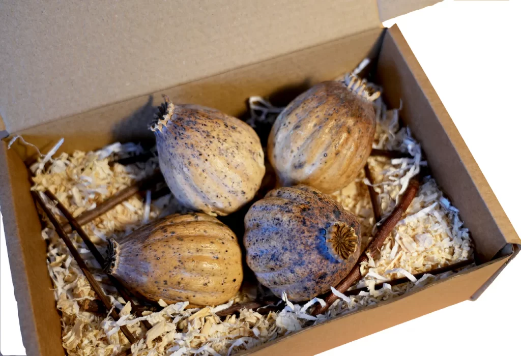 shipping, Buy Dried Poppy Pod Heads – Premium Botanical Poppies for Sale Online at BuyPoppyHeads.com